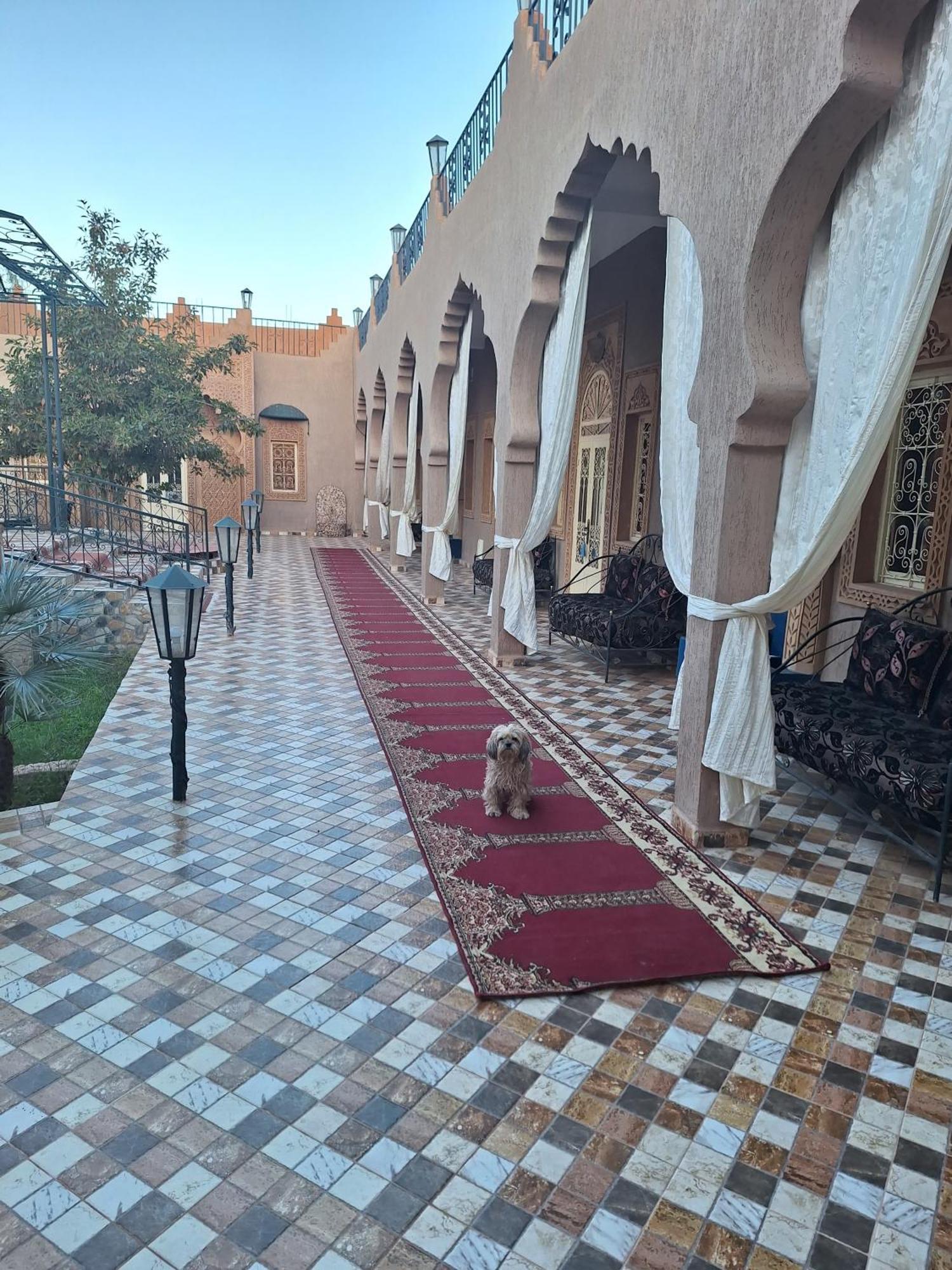Eden Suite Marrakesh Exteriör bild